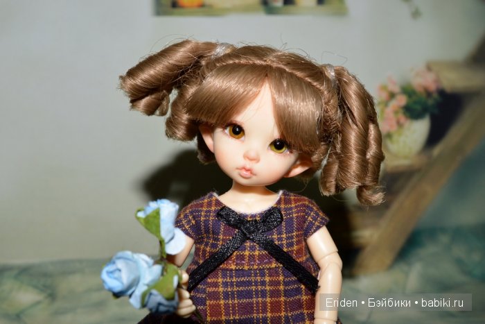 Приехали! Пукифи Пупу и Мультихед Анте (фото 4)