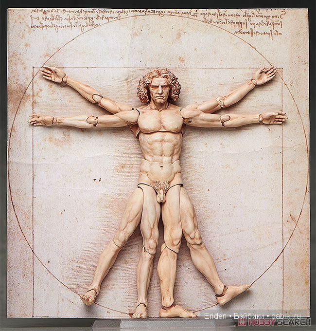 Витрувианский человек, фигурки от Figma