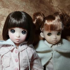 ООАК Ruruko приехали