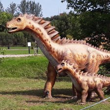 А есть кто из Минска?