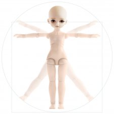 Шарнирная китайская куколка. Обзор