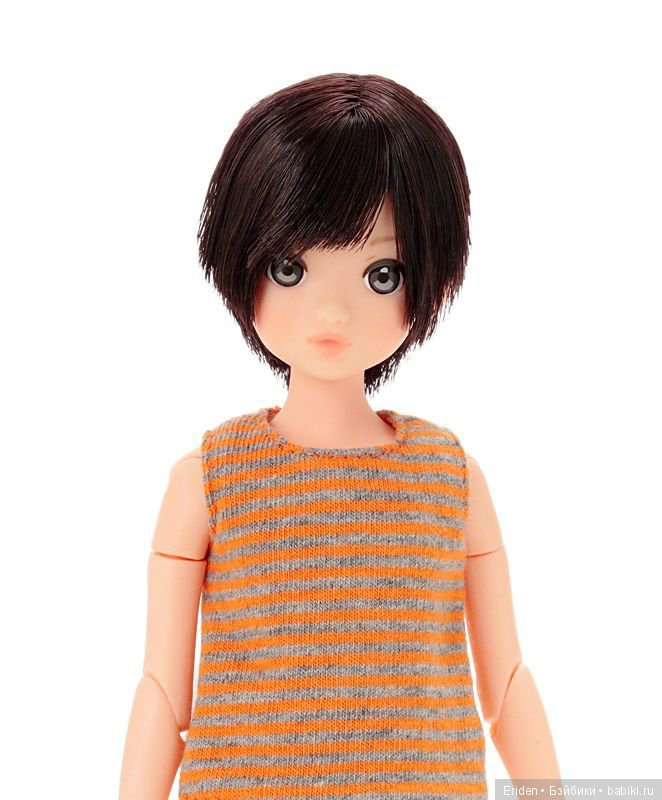 Новинки Руруко — Куклы Momoko и Ruruko (Petworks (фото 2)