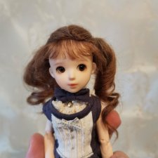 Моя умница-красавица Miss Cookie