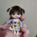 Salmon Peas micro ymy