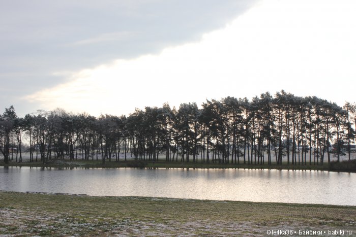 Путешествие по Беларуси. Мирский замок (часть 1) (фото 10)