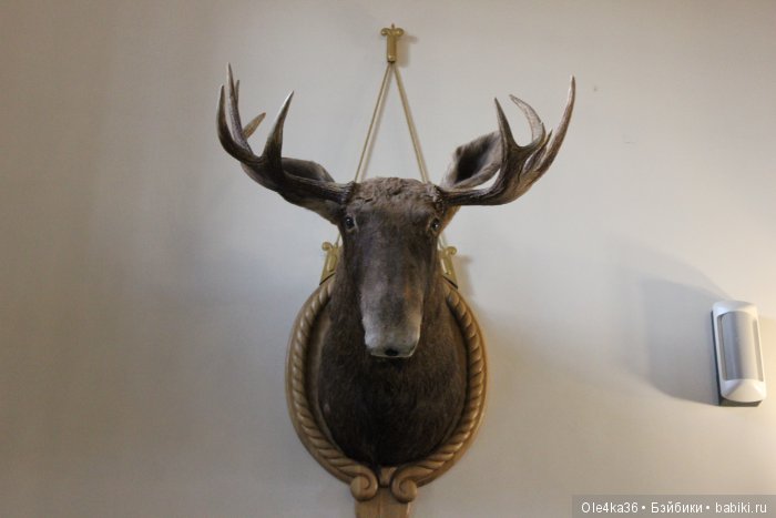 Несвижский замок в Беларуси (часть 2)