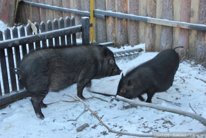 Историко - этнографический музей "Усадьба Гальских" (часть 1)