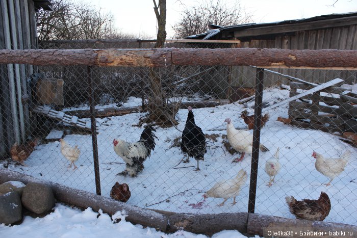 Историко - этнографический музей "Усадьба Гальских" (часть 1)