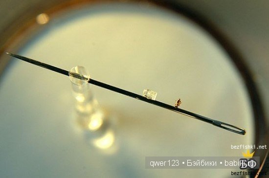 Микроминиатюры Алдунина Николая