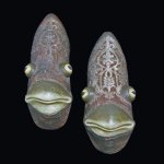 Скульптуры из обуви от Гвен Мерфи (Gwen Murphy)