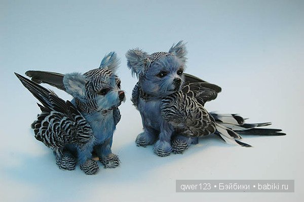 Крылатые собачки австралийской художницы Эмили Валентайн (Emily Valentine)