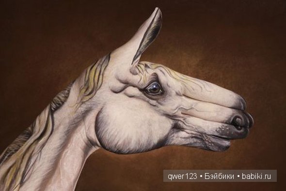 Рукозвери Гвидо Даниэле (Guido Daniele