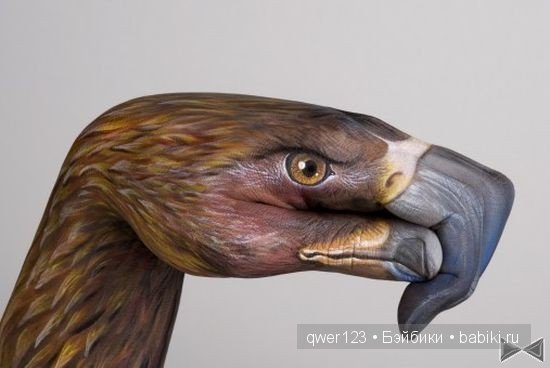 Рукозвери Гвидо Даниэле (Guido Daniele