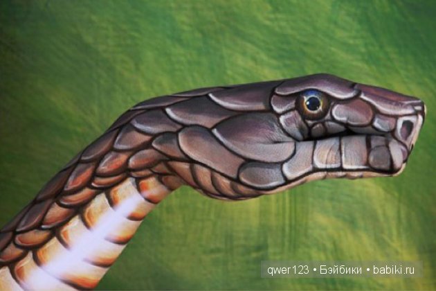 Рукозвери Гвидо Даниэле (Guido Daniele