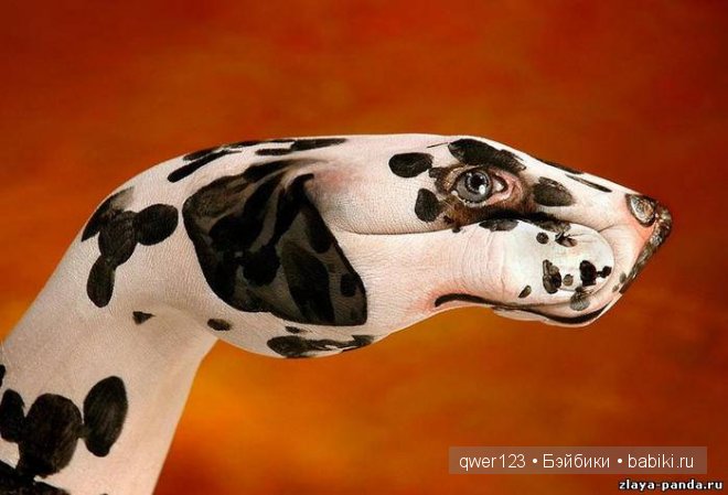 Рукозвери Гвидо Даниэле (Guido Daniele