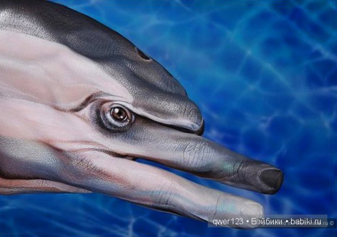 Рукозвери Гвидо Даниэле (Guido Daniele