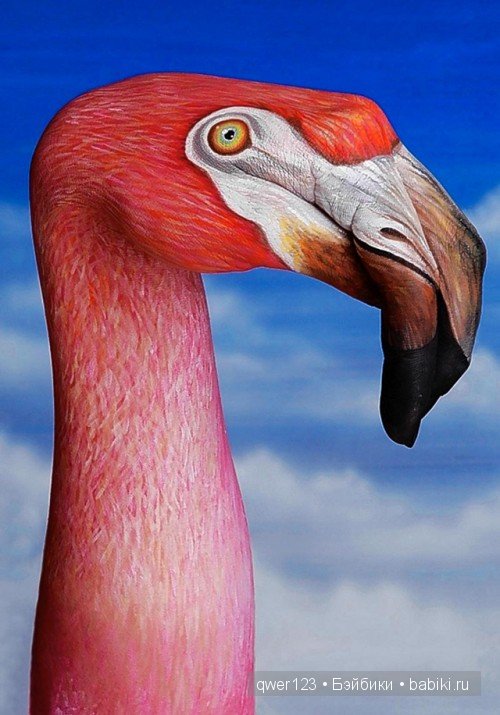 Рукозвери Гвидо Даниэле (Guido Daniele