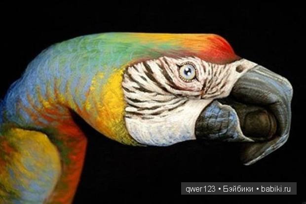 Рукозвери Гвидо Даниэле (Guido Daniele