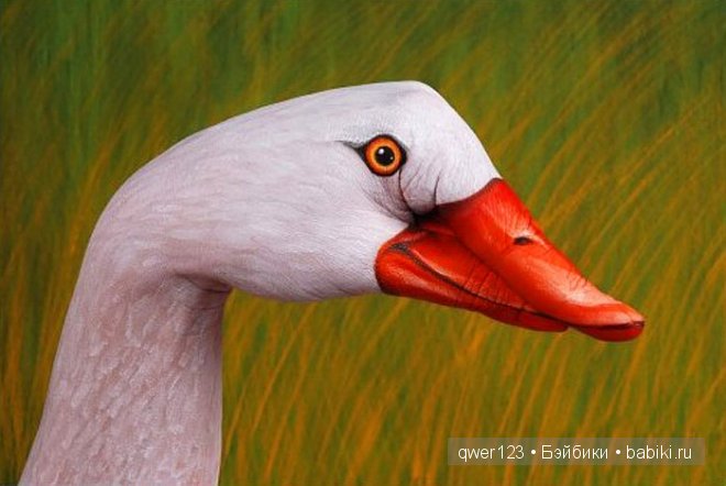 Рукозвери Гвидо Даниэле (Guido Daniele