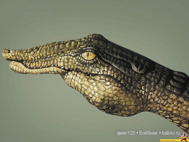 Рукозвери Гвидо Даниэле (Guido Daniele