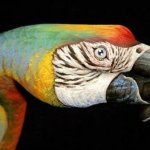 Рукозвери Guido Daniele