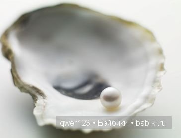 Драгоценные моллюски. Скульптуры из молюссков