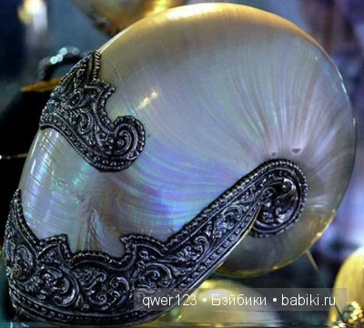 Драгоценные моллюски. Скульптуры из молюссков