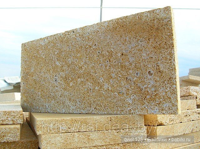 Драгоценные моллюски. Скульптуры из молюссков