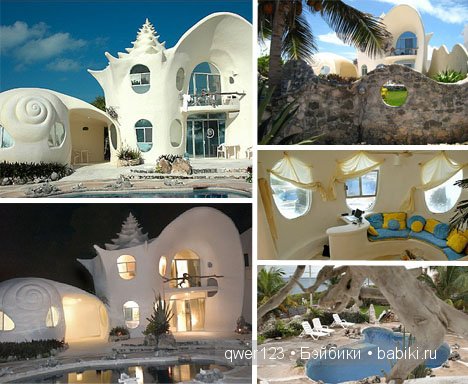 Драгоценные моллюски. Скульптуры из молюссков