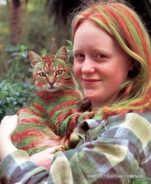 покраска кошки