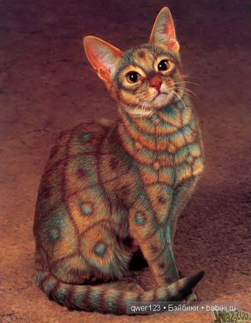 окраска кошки