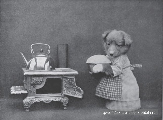 Забавные ретро-фото животных в костюмах от Гарри Уиттиера