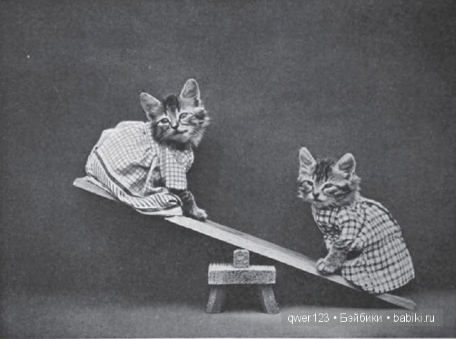 Забавные ретро-фото животных в костюмах от Гарри Уиттиера (фото 10)