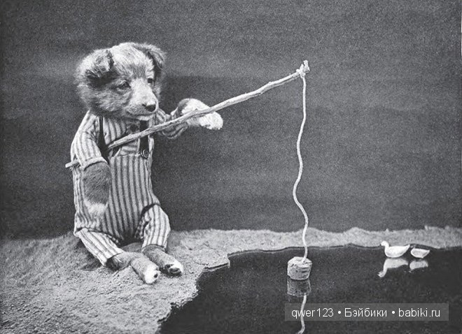 Забавные ретро-фото животных в костюмах от Гарри Уиттиера (фото 5)