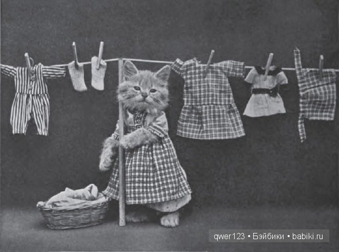 Забавные ретро-фото животных в костюмах от Гарри Уиттиера