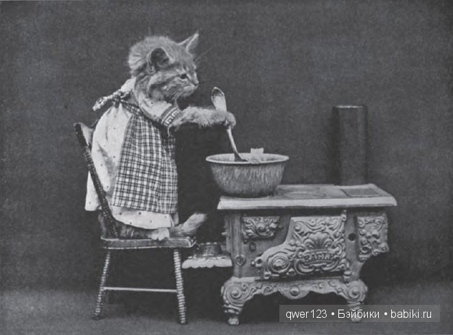 Забавные ретро-фото животных в костюмах от Гарри Уиттиера (фото 6)