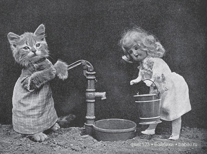 Забавные ретро-фото животных в костюмах от Гарри Уиттиера