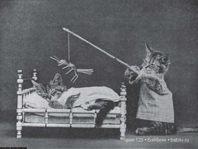 Забавные ретро-фото животных в костюмах от Гарри Уиттиера