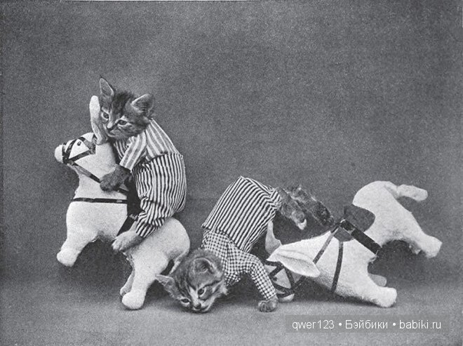 Забавные ретро-фото животных в костюмах от Гарри Уиттиера