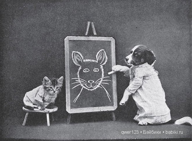 Забавные ретро-фото животных в костюмах от Гарри Уиттиера (фото 8)