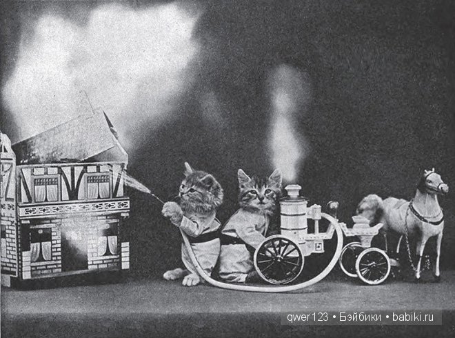 Забавные ретро-фото животных в костюмах от Гарри Уиттиера