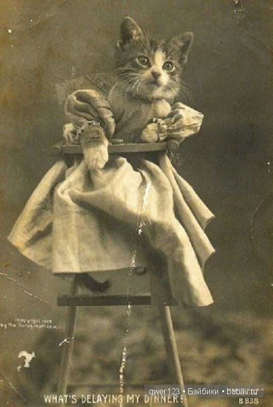 Забавные ретро-фото животных в костюмах от Гарри Уиттиера