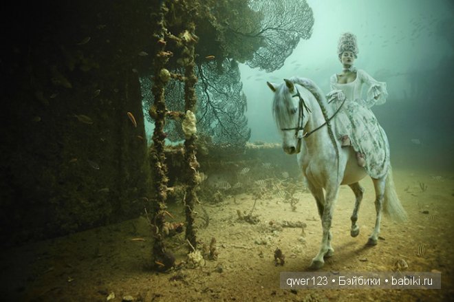 The Life Above Refined Below - Andreas Franke