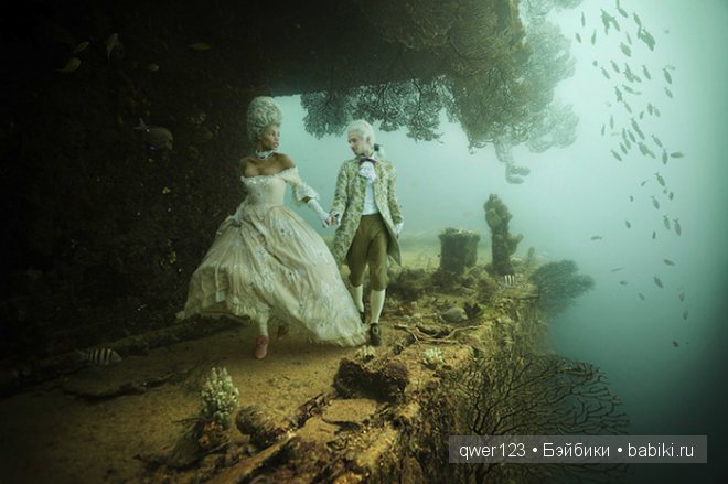 Интересный фотопроект от Андреаса Франке "Роскошная жизнь на дне моря". The Life Above Refined Below - Andreas Franke