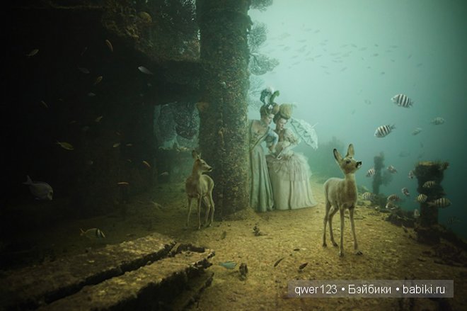 The Life Above Refined Below - Andreas Franke