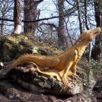 Скульптуры из пней от Художника Томми Краггс (Tommy Craggs)