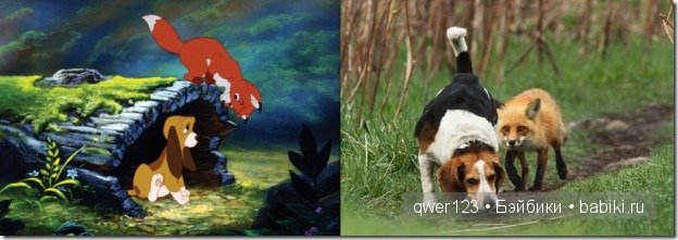 Животные "Диснея" в реальной жизни | Бэйбики Животные "Диснея" в реальной жизни (фото 9)