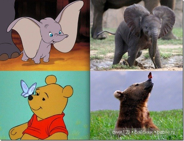 Животные "Диснея" в реальной жизни | Бэйбики Животные "Диснея" в реальной жизни