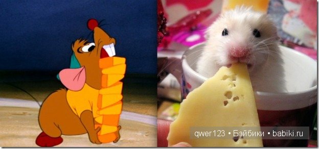 Животные "Диснея" в реальной жизни | Бэйбики Животные "Диснея" в реальной жизни (фото 4)