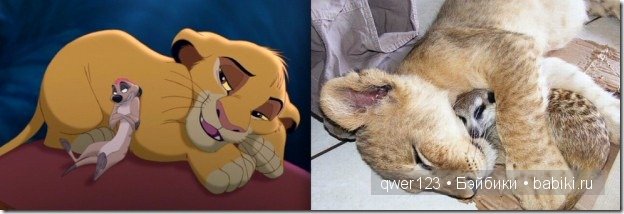 Животные "Диснея" в реальной жизни | Бэйбики Животные "Диснея" в реальной жизни